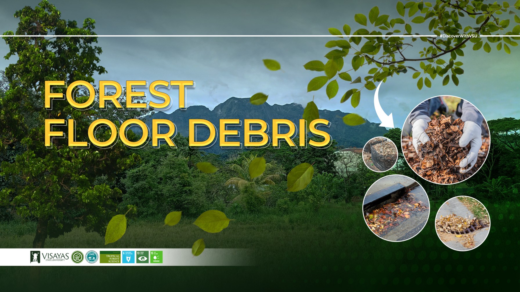 DiscoverWithVSU-How-Fallen-Leaves-in-Mt.Pangasugan-Help-Slow-Floods-and-Protect-Soil