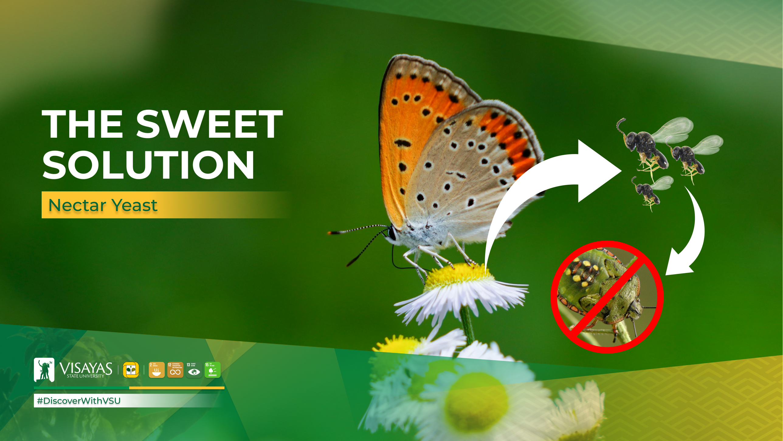 How-nectar-yeasts-can-help-farmers-control-crop-pests
