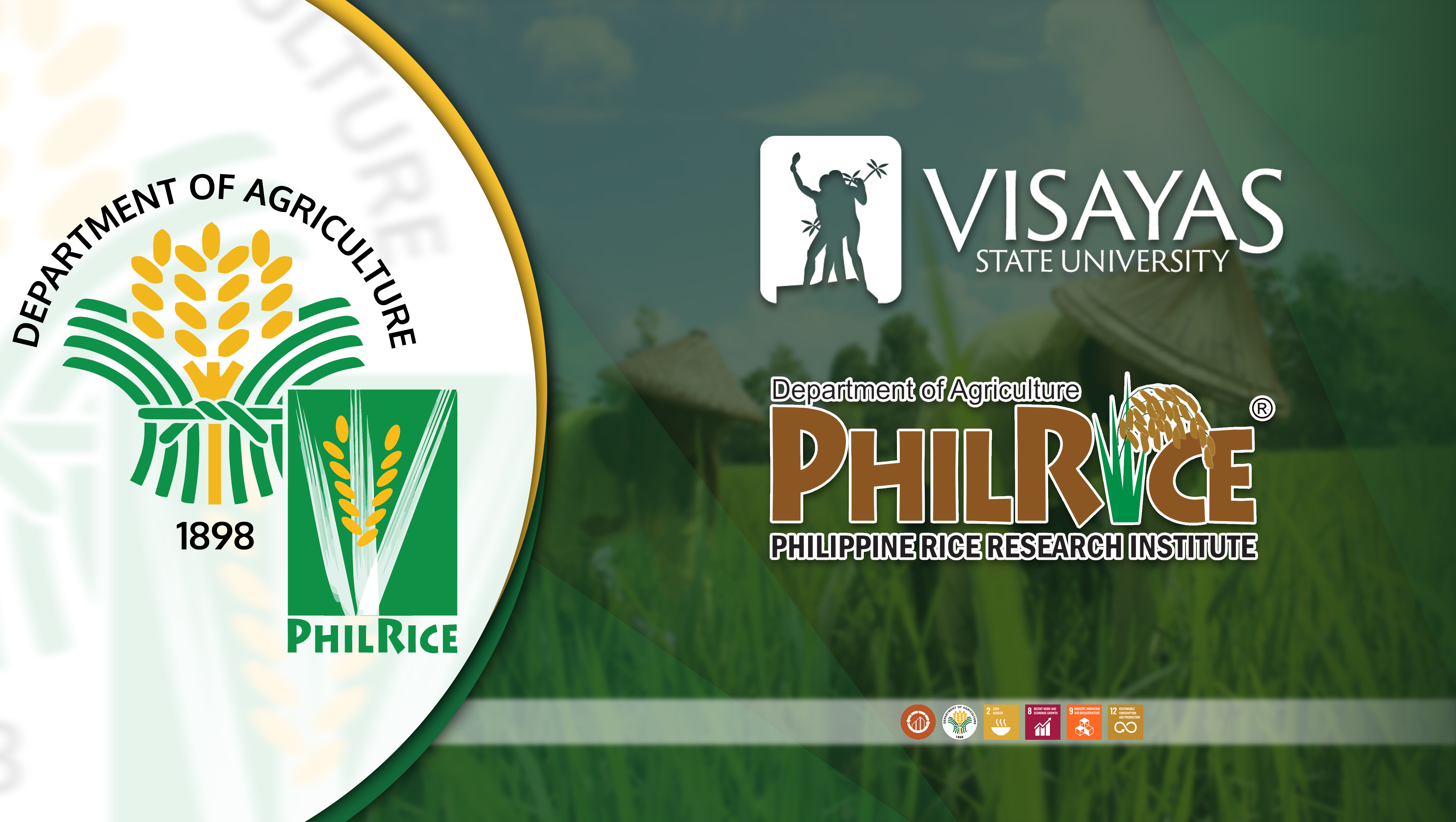 VSU-PhilRice-join-forces-to-revive-and-innovate-_rice-based-_products-in-Leyte